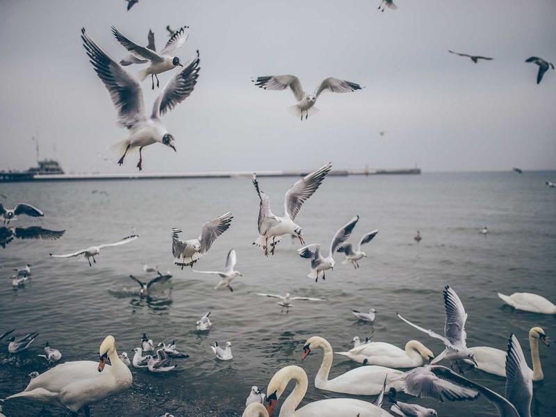 sudoku app download screenshot 4