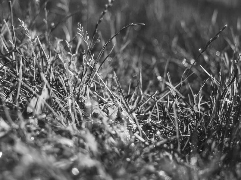 sudoku app download screenshot 6